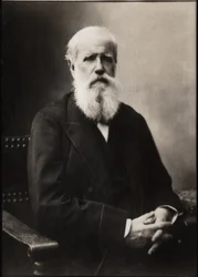 Retrato de Dom Pedro II (Pedro II) (1825-1891), Emperador de Brasil